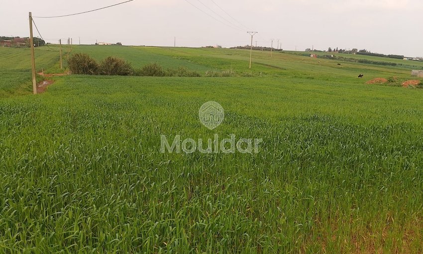 Terrain à vendre à Mohammedia - view 7