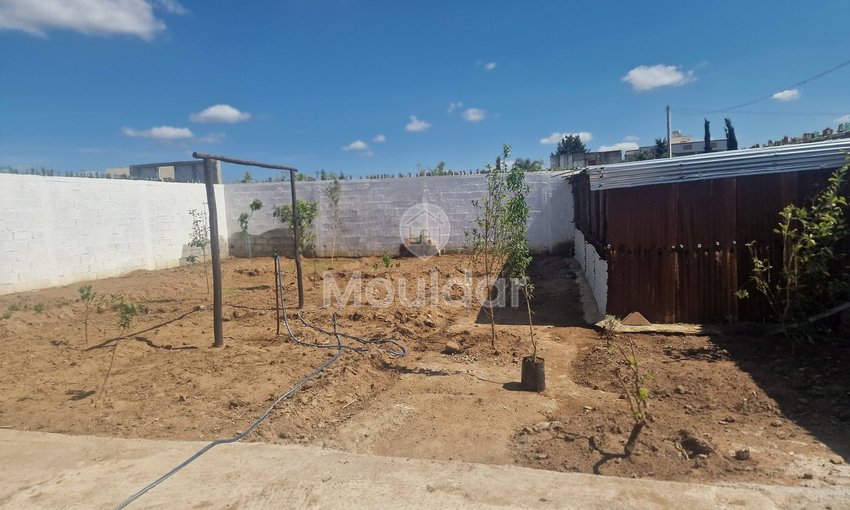 Maison à vendre à Ksar el-Kebir - view 11