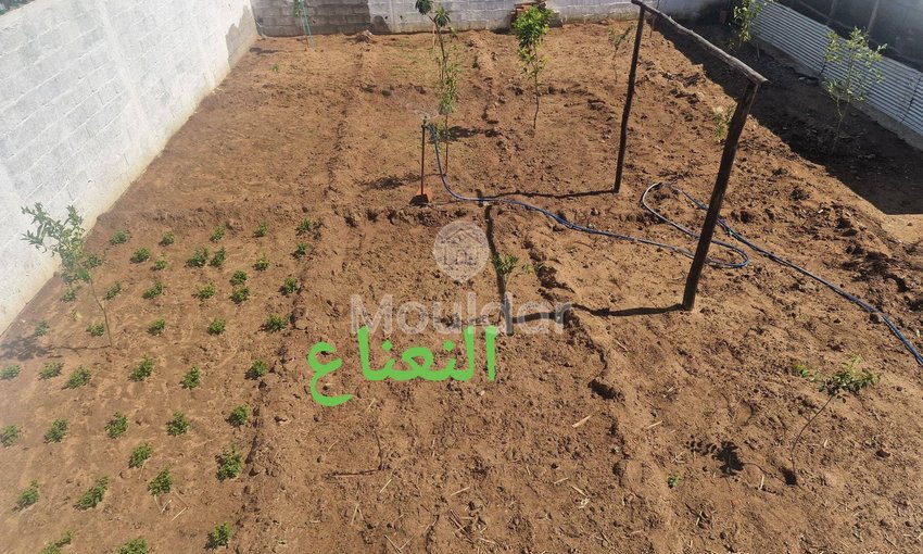 Maison à vendre à Ksar el-Kebir - view 9
