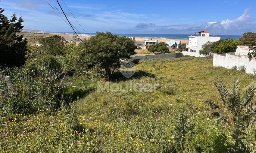 Terrain à vendre à Asilah - view 6