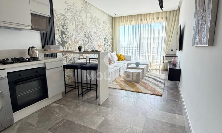 Location studio meublé a Quartier les princesse - view 9