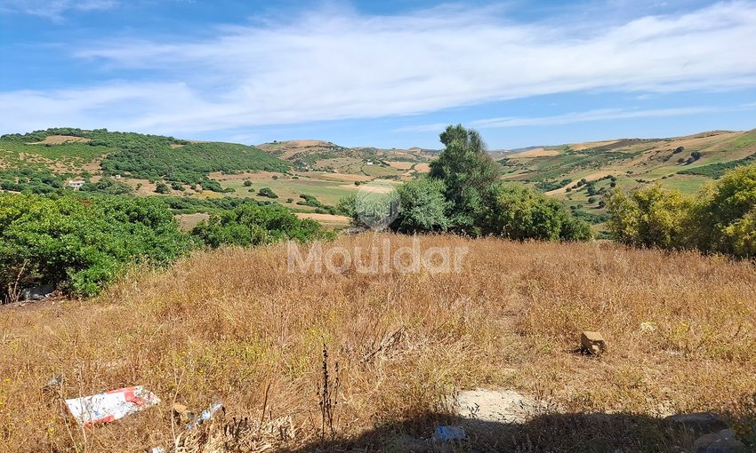 Te koop: grond in Asilah, Sidi Mghait - view 3
