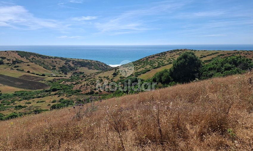 Te koop: grond in Asilah, Sidi Mghait - view 4