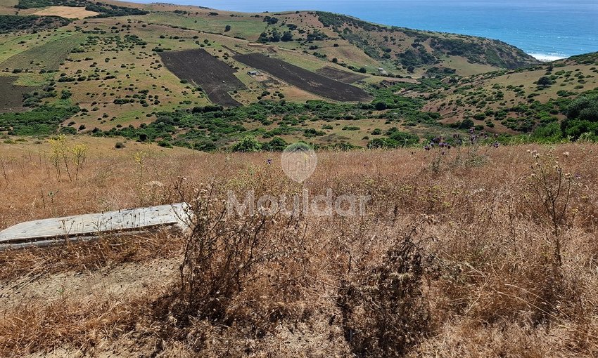 Te koop: grond in Asilah, Sidi Mghait - view 8