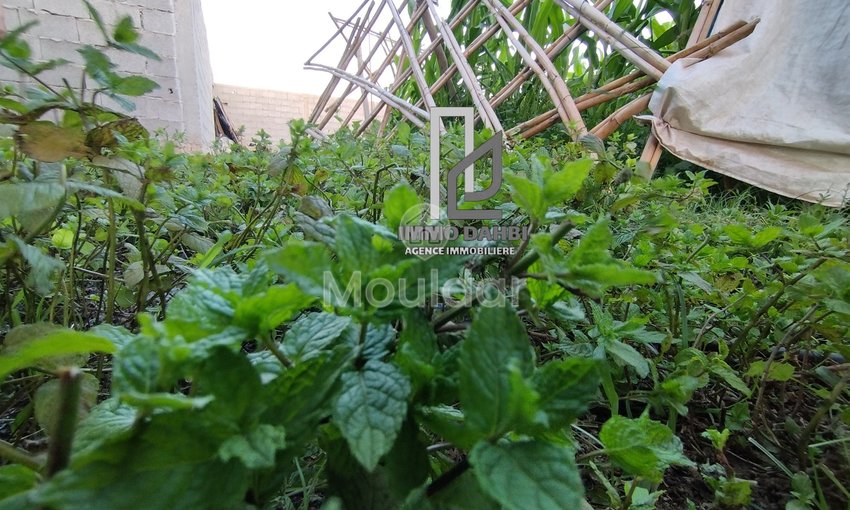 Maison à vendre à Ouled Teïma - view 12