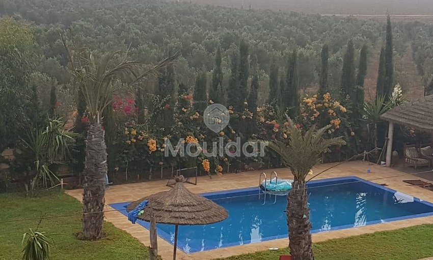 Ferme à vendre à Bouskoura de 21600 m² avec piscine - view 4