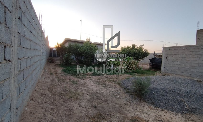 Maison à vendre à Ouled Teïma - view 11