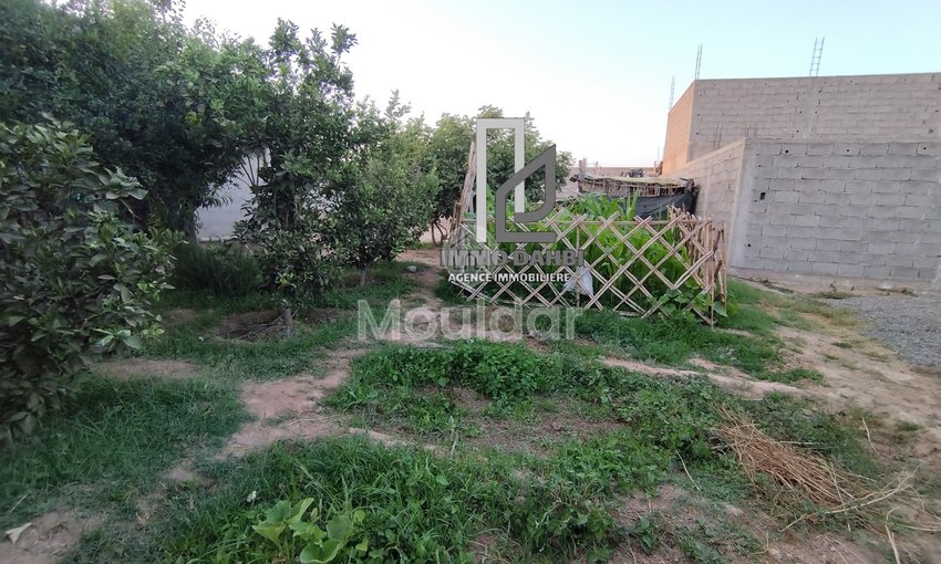 Maison à vendre à Ouled Teïma - view 7
