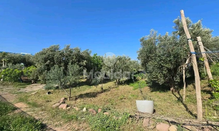 Ferme à louer pour les vacances à Ouled Teïma - view 13