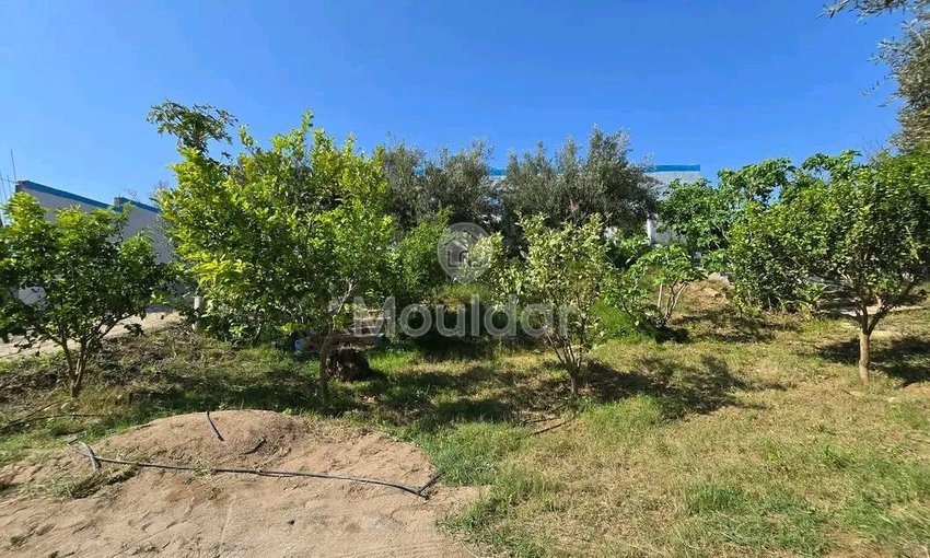 Ferme à louer pour les vacances à Ouled Teïma - view 12