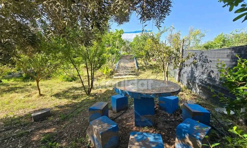 Ferme à louer pour les vacances à Ouled Teïma - view 7