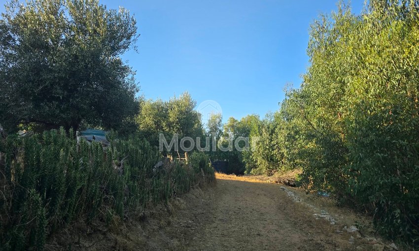 Maison à vendre à Arbaoua - view 5