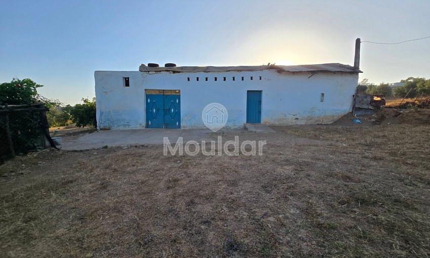 Maison à vendre à Arbaoua - view 7
