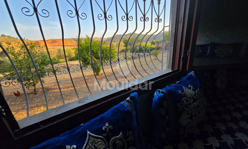 Maison à vendre à Arbaoua - view 16