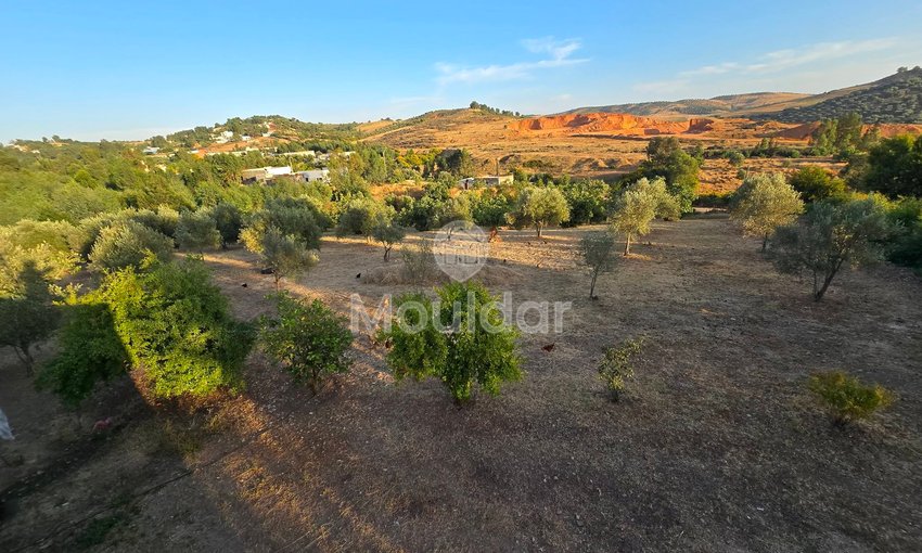 Maison à vendre à Arbaoua - view 8