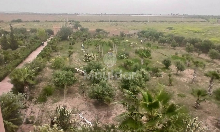 رياض للإيجار لقضاء العطلات في مراكش، طريق أكادير - view 9