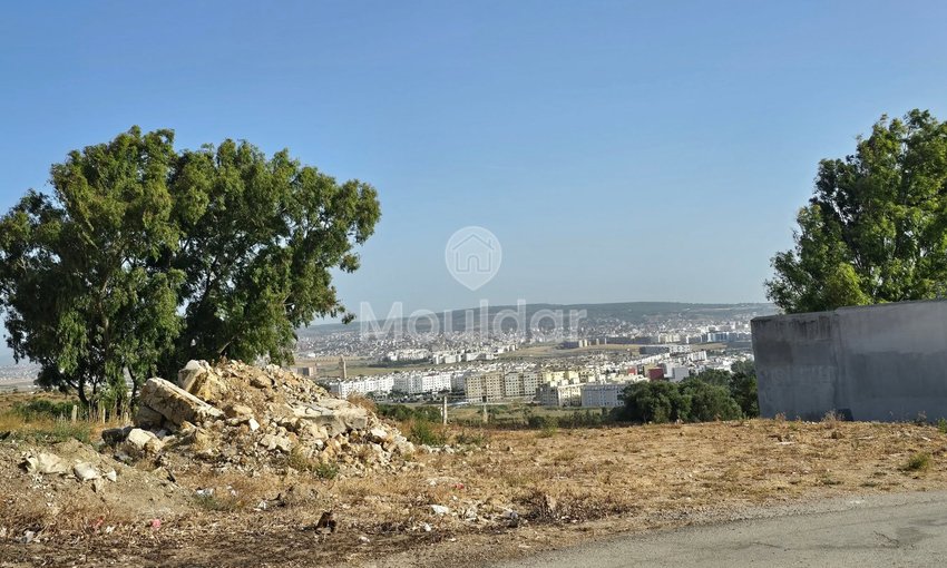 Terrain à vendre à Tanger - view 3