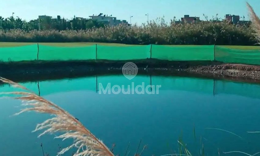 Land for sale in Marrakech, Chrifia - view 9