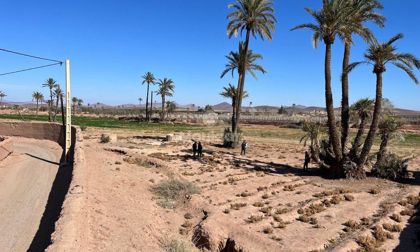 Terrain agricole à vendre Route de Fès Marrakech - view 4