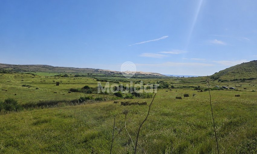 Grond te koop in Sidi Mghait, Asilah - view 3