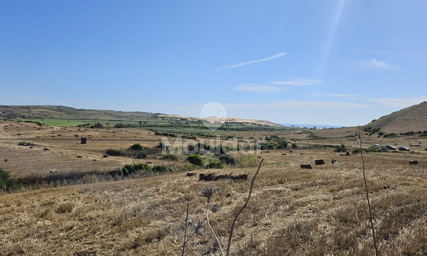 Grond te koop in Sidi Mghait, Asilah - view 4
