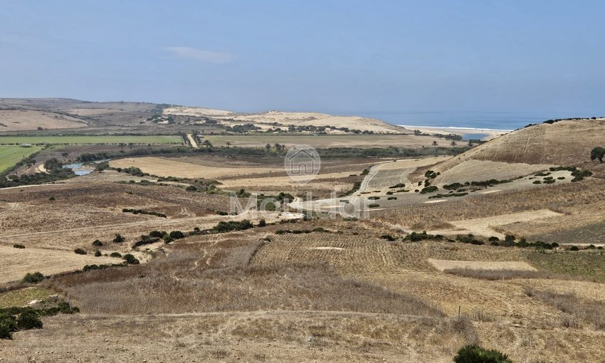 Grond te koop in Sidi Mghait, Asilah - view 2