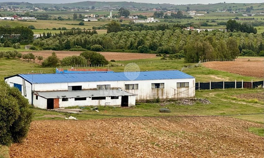Farm for sale in Asilah - view 2