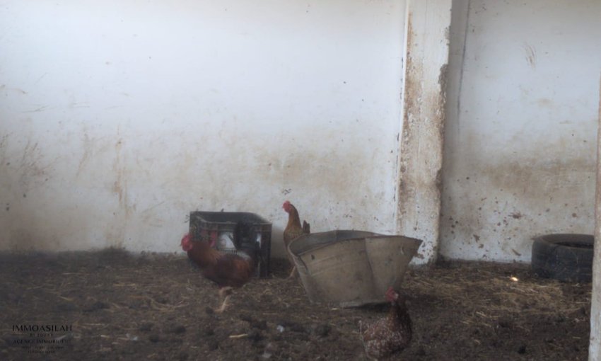 Proprièté de 4 Héctares à vendre aux environs d'Asilah - view 6