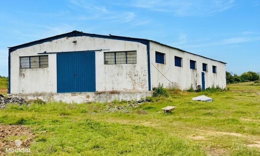 Farm for sale in Asilah - view 3