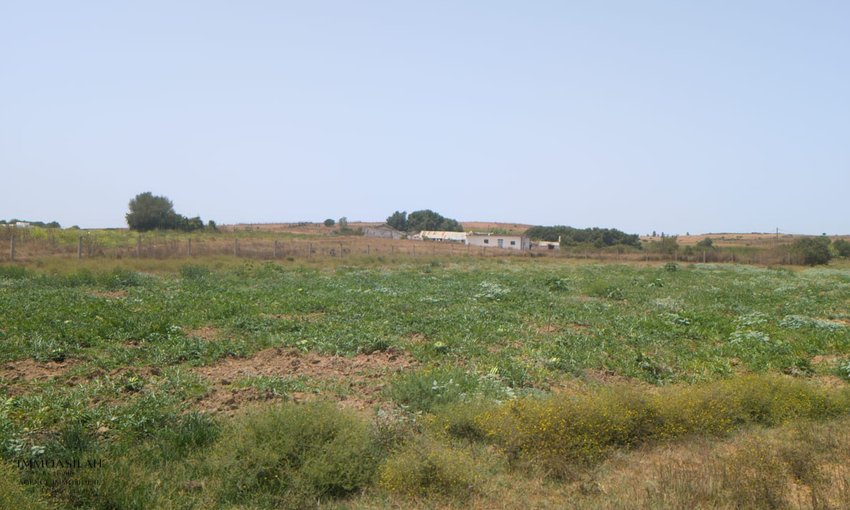 Finca en venta en Asilah - view 4