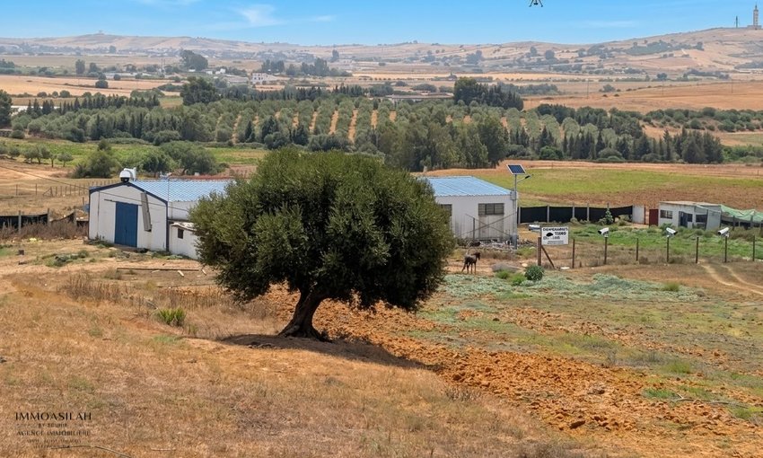 Finca en venta en Asilah - view 4