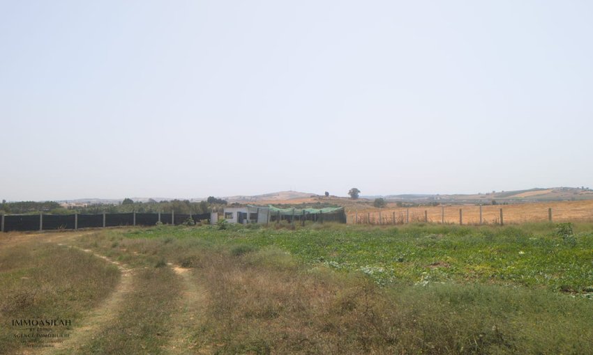 Proprièté de 4 Héctares à vendre aux environs d'Asilah - view 11