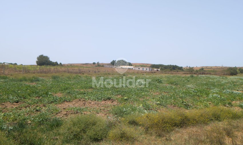 Farm for sale in Asilah - view 4