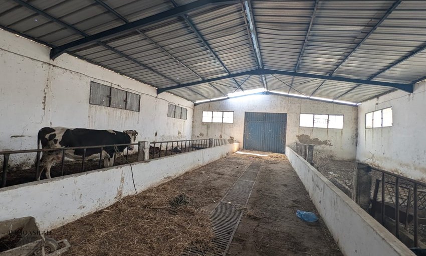 Finca en venta en Asilah - view 5