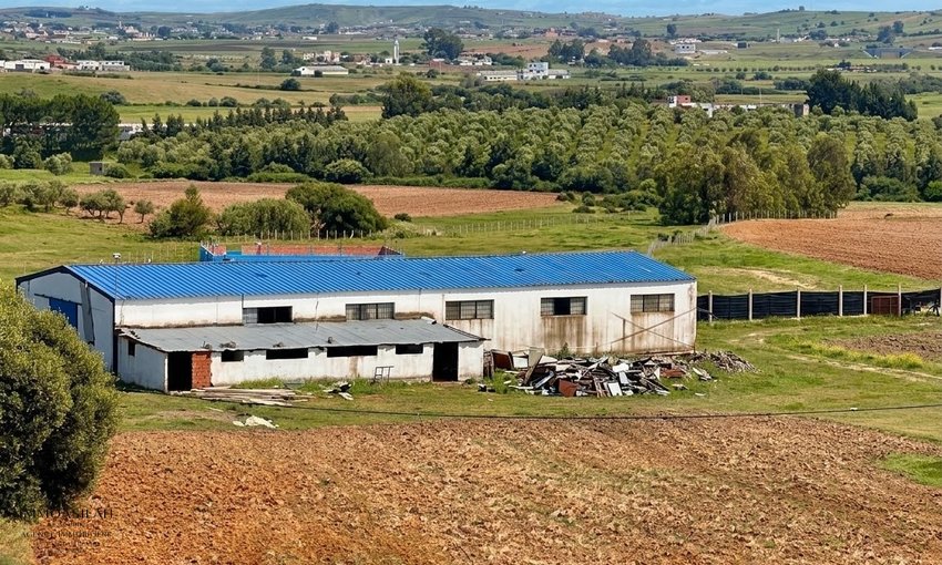 Finca en venta en Asilah - view 2