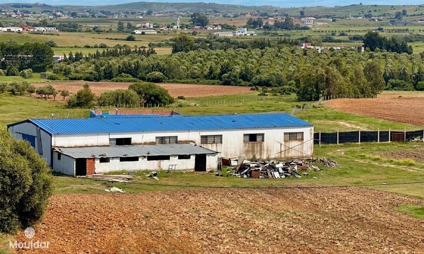 Farm for sale in Asilah - view 2