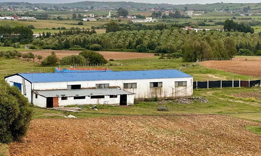 Finca en venta en Asilah - view 2