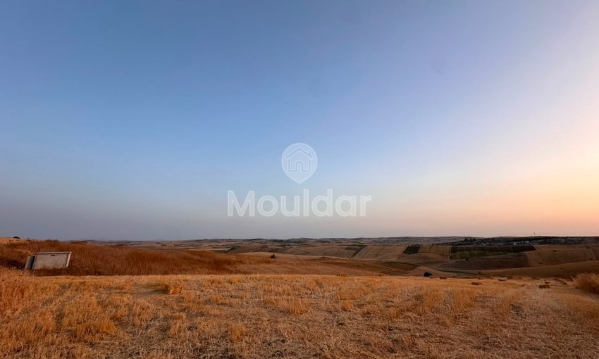 Terreno à Venda em Asilah Sul - view 6