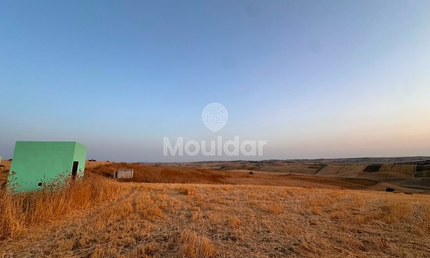 Terrain agricole à vendre à Asilah de 36 hectares - view 3