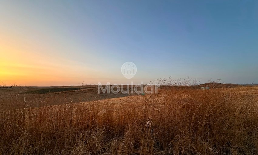 Terrain agricole à vendre à Asilah de 36 hectares
