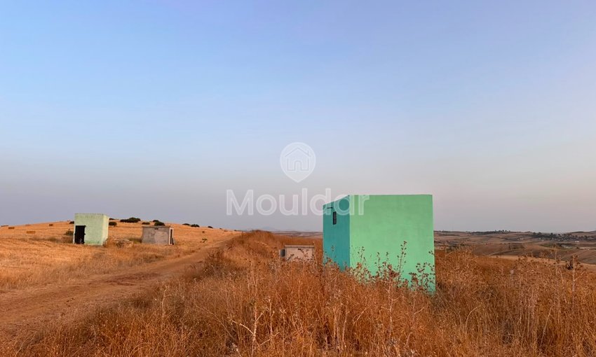 Terrain agricole à vendre à Asilah de 36 hectares - view 5