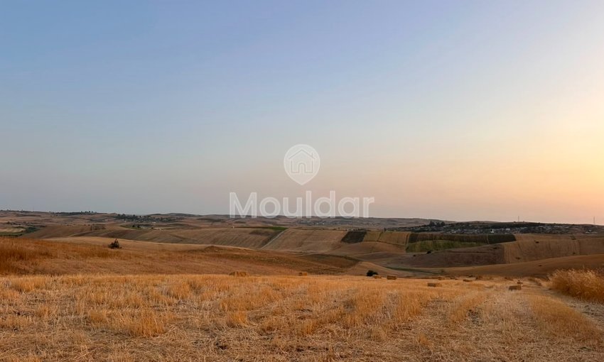 Terrain agricole à vendre à Asilah de 36 hectares - view 4
