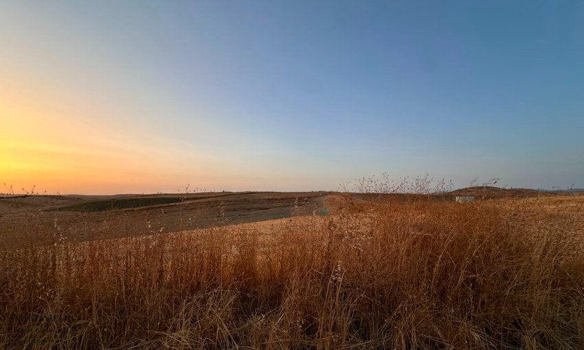 36 Héctares titrés à vendre aux environs d'Asilah