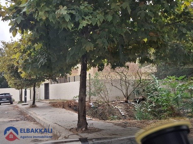 Terrain à Boubana Tanger pour construction villa - view 7