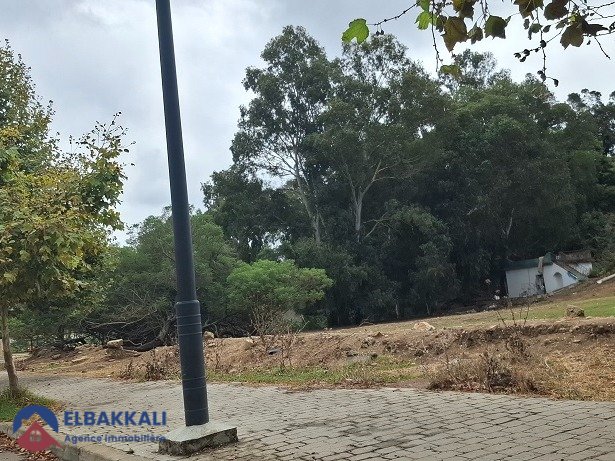 Terrain à Boubana Tanger pour construction villa