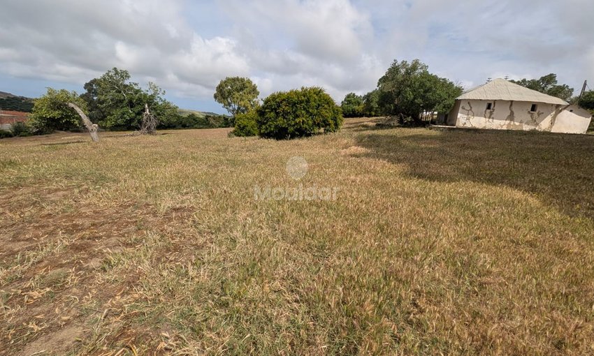 Terrain agricole à vendre à Asilah de 11716 m² - view 3