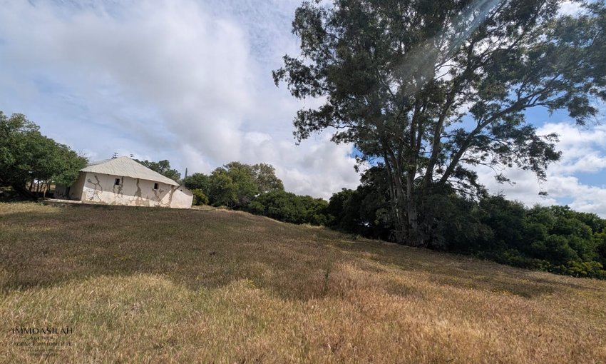 🏡 TERRAIN TITRÉ DE 11 716 M² À VENDRE –  RÉGION D’ASILAH 