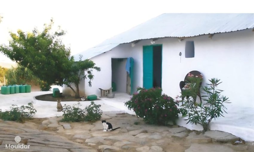 Agrarisch land te koop in Asilah van 11.716 m² - view 2