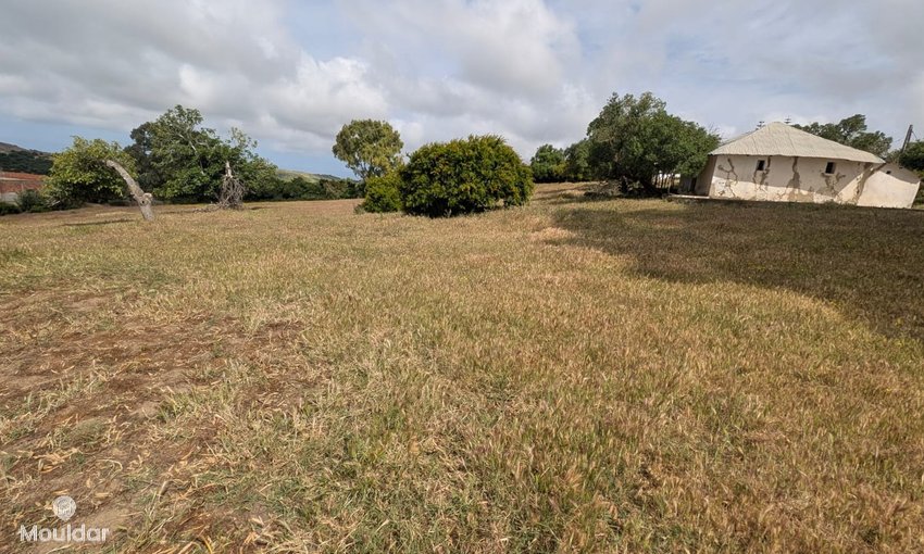 Terreno agrícola en venta en Asilah de 11,716 m² - view 6