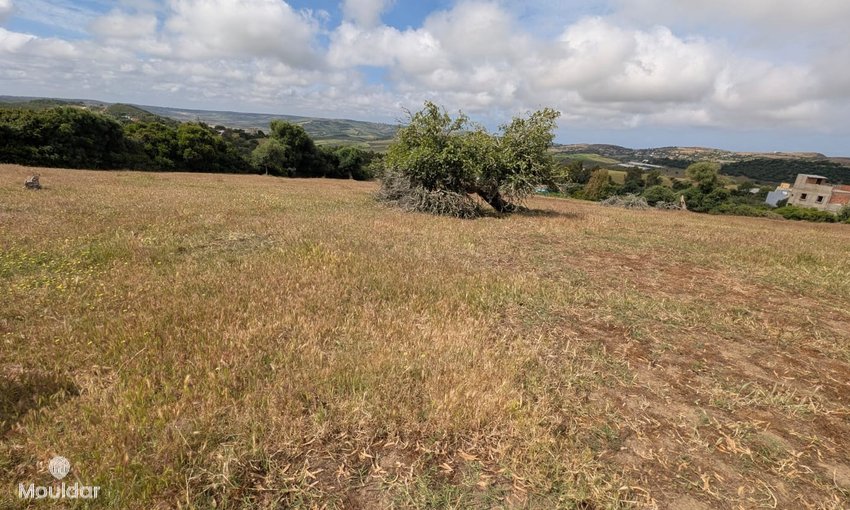 Terreno agrícola en venta en Asilah de 11,716 m² - view 10